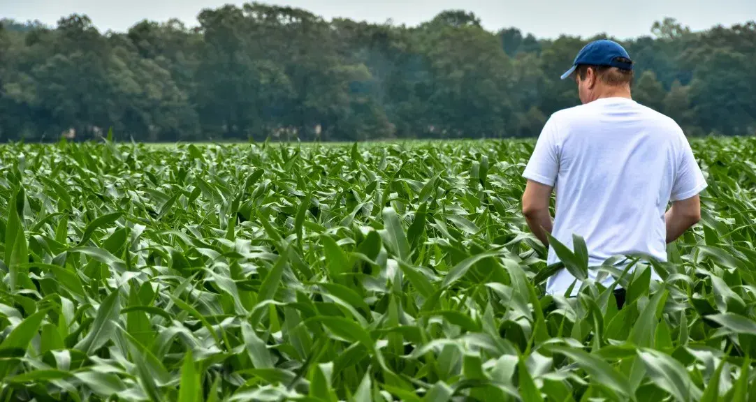 Emprendimientos en Costa Rica